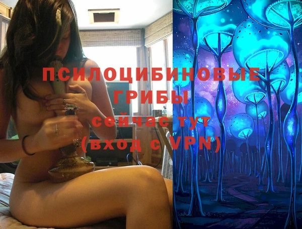 мяу мяу мука Карпинск