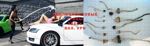 гашиш Касимов